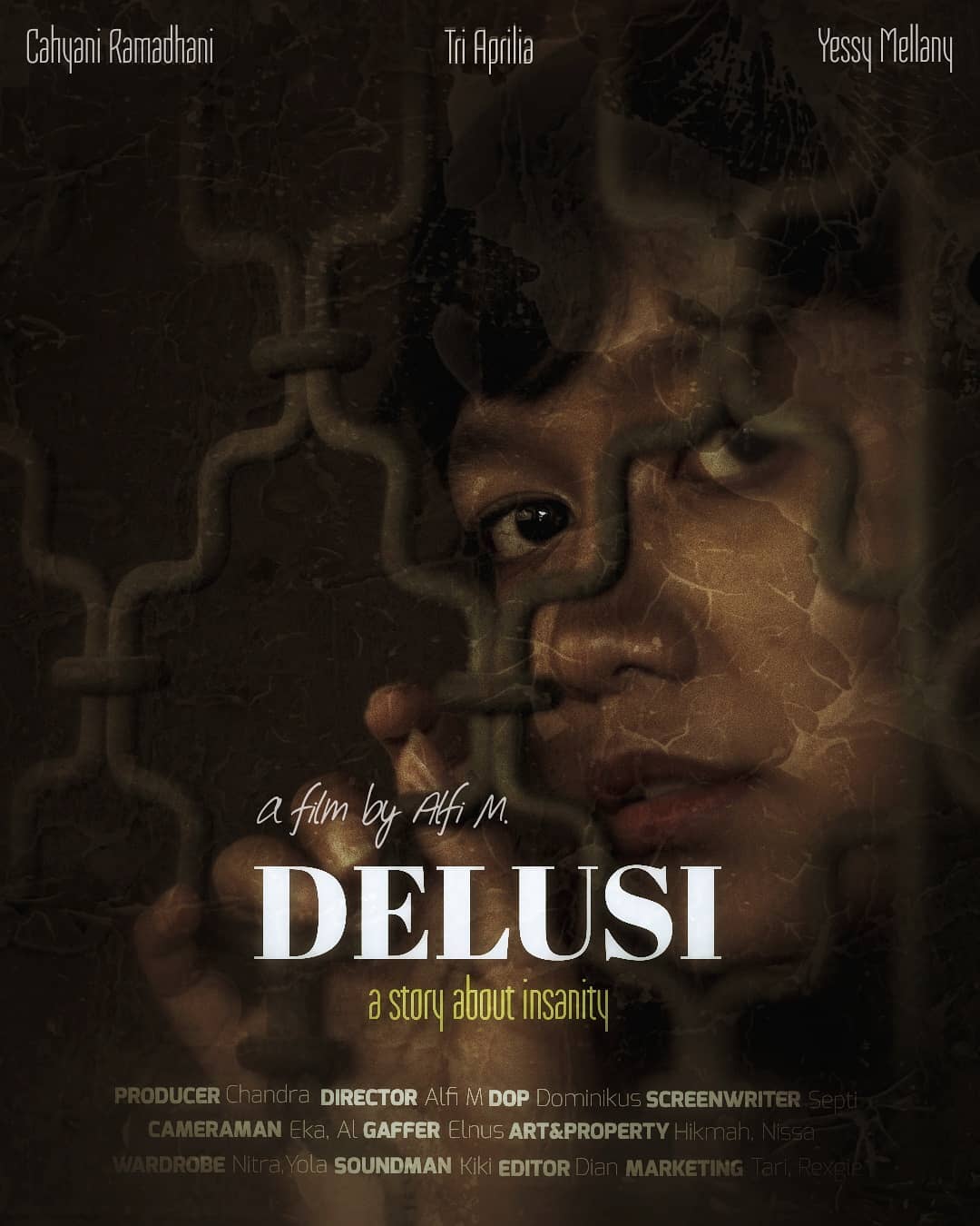 DELUSI Mini Series Poster
